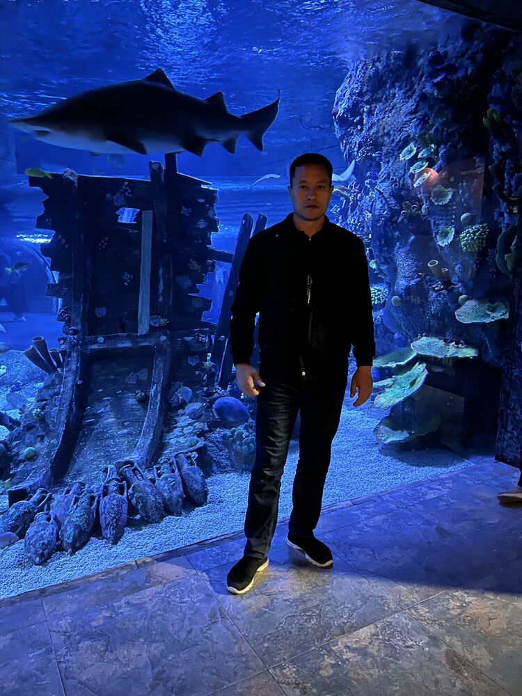  54124196  Xusanovich, 38 ,    