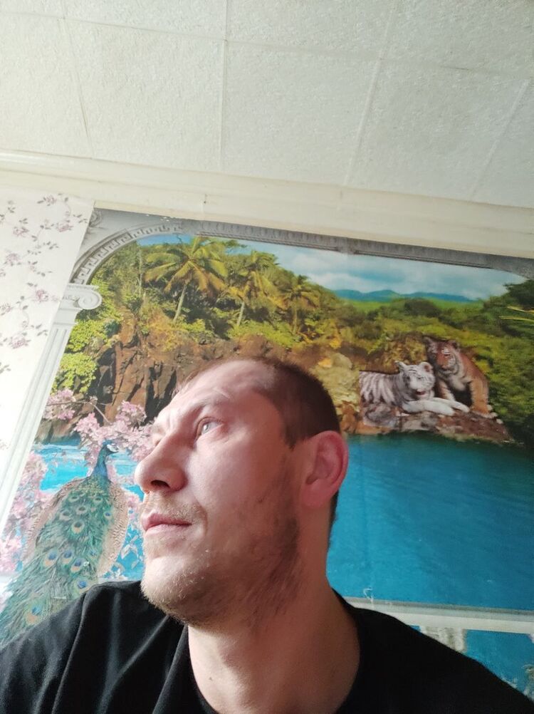 ���� 43134546 ������� ����, 38 ���, ���� ���������� � ��������