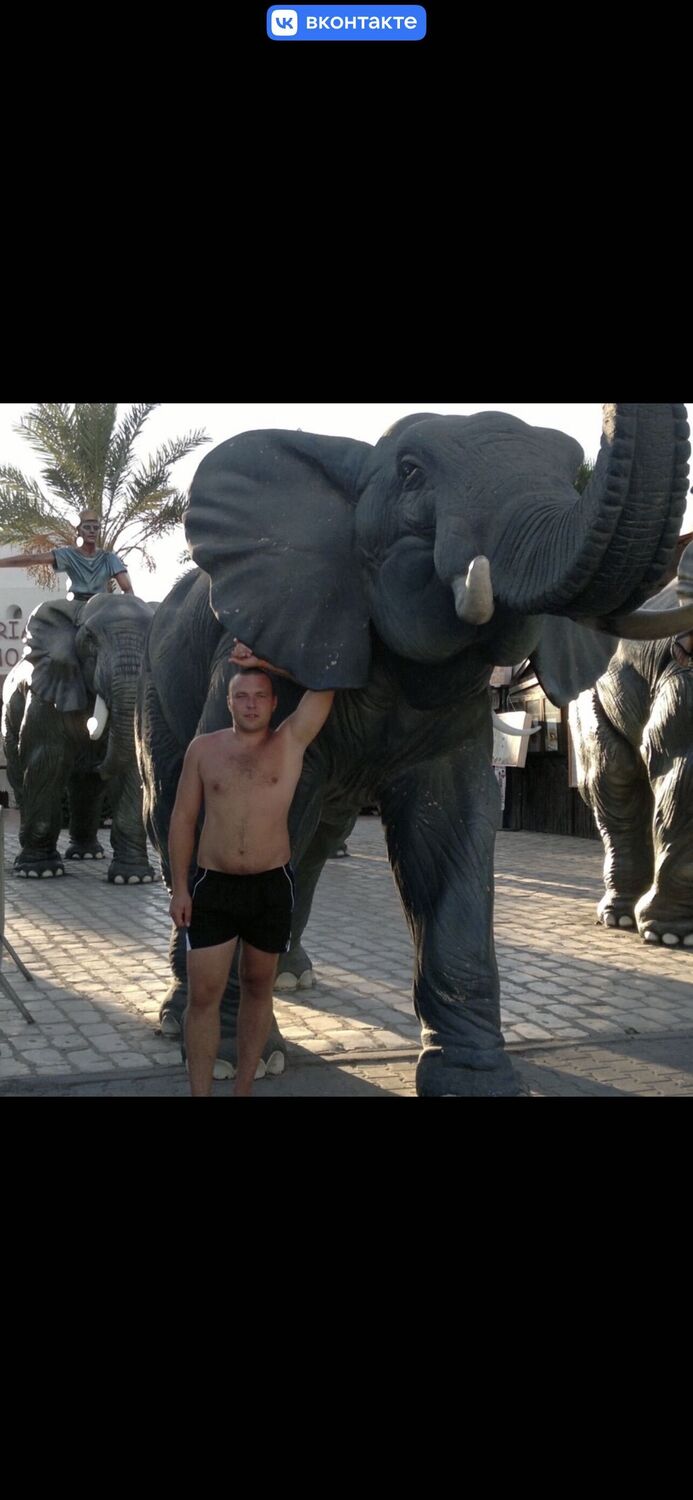 ���������� �����-���������, ���� ������� ������, 38 ���, ������������ ��� ������, ����� � ���������