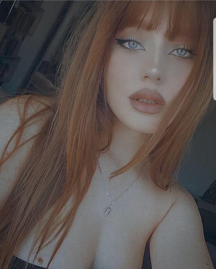  24379236  , 23 ,    