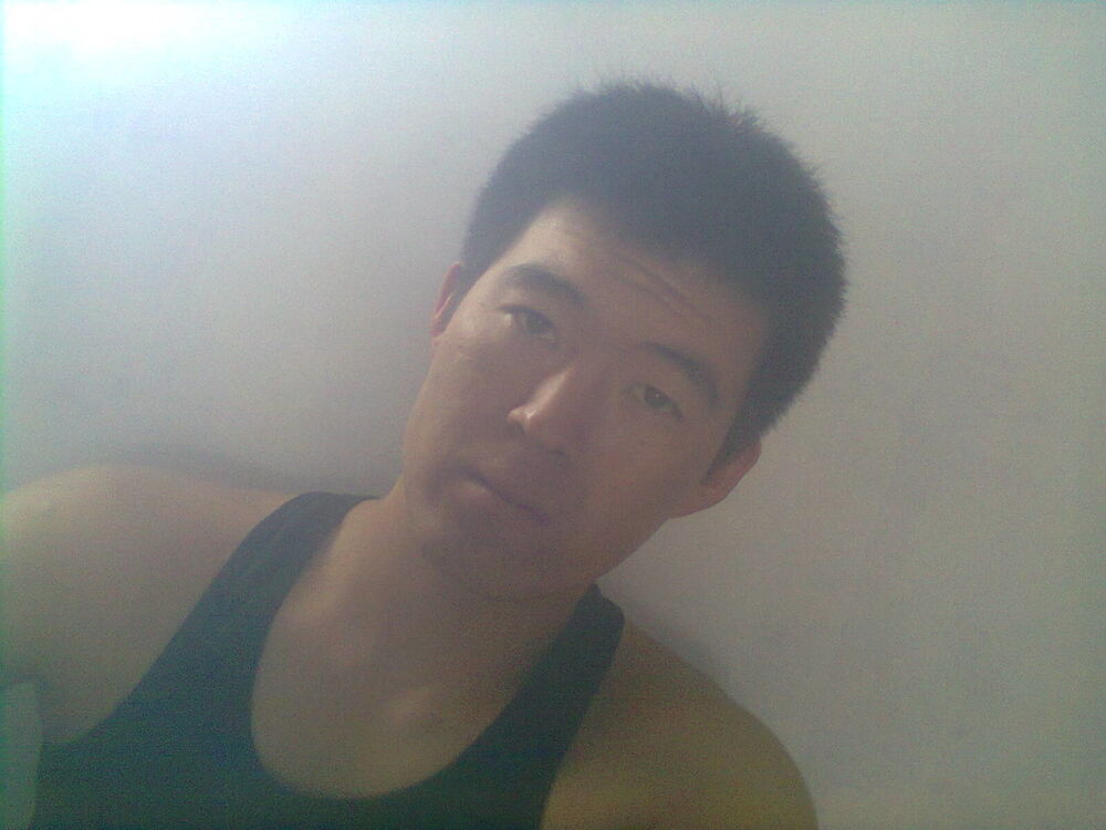  4908206  , 31 ,    