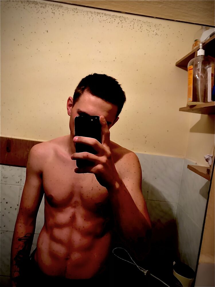  31281086  , 23 ,    --