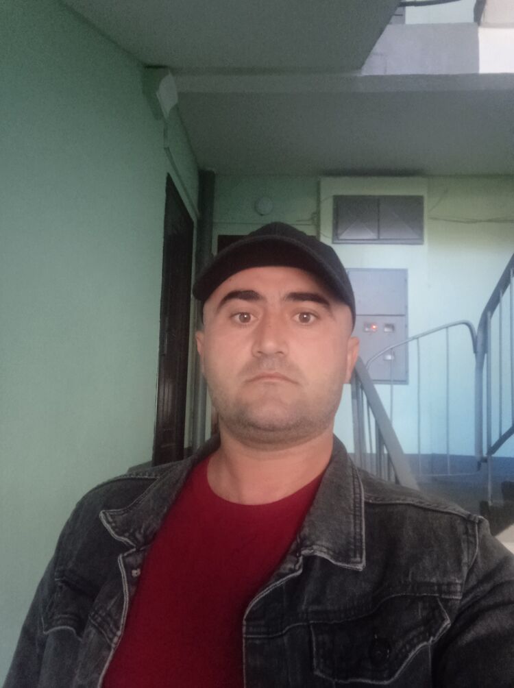  53853756  , 36 ,    -