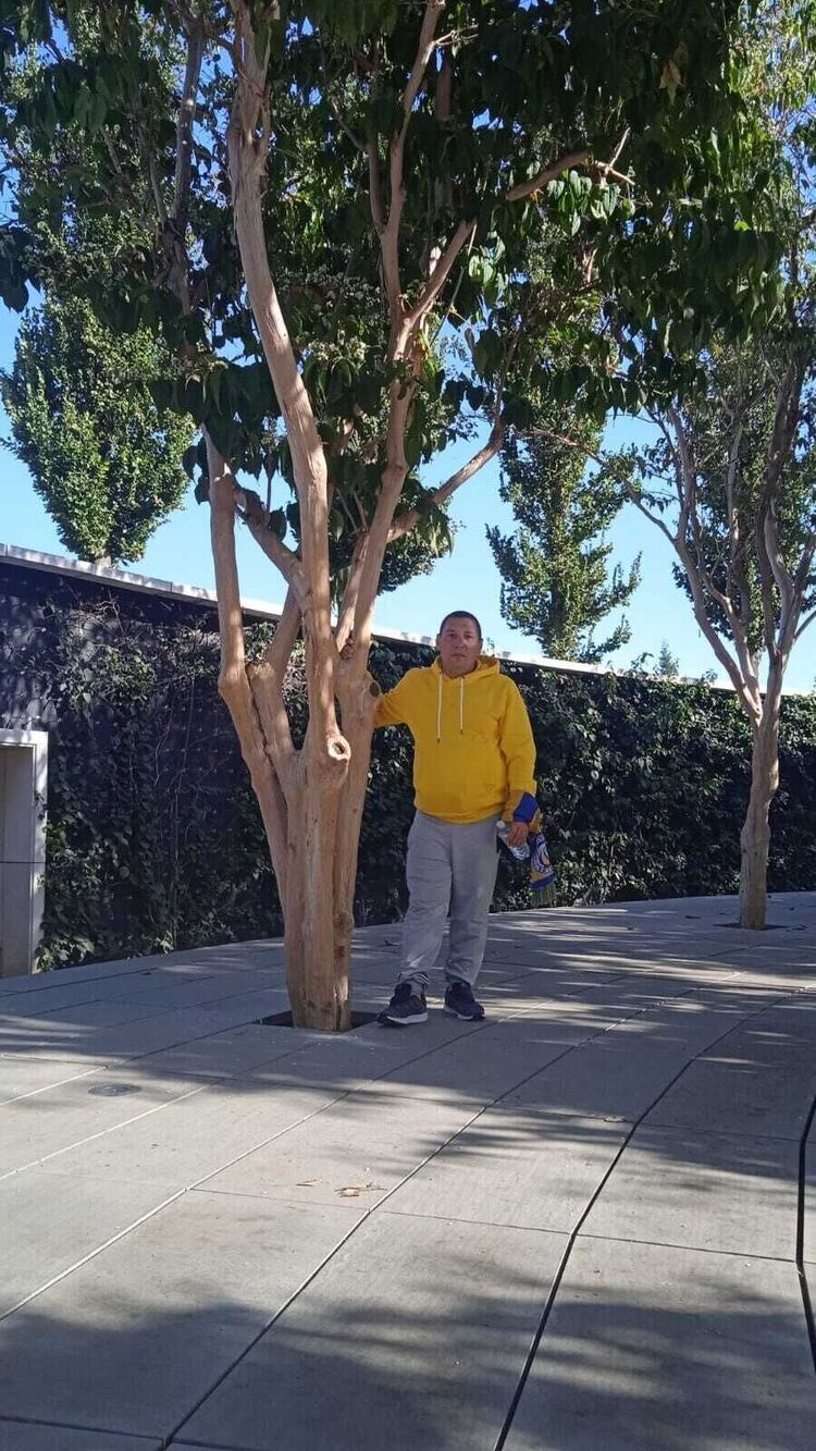 ���������� ������-��-����, ���� ������� ����, 39 ���, ������������ ��� c�������� ���������