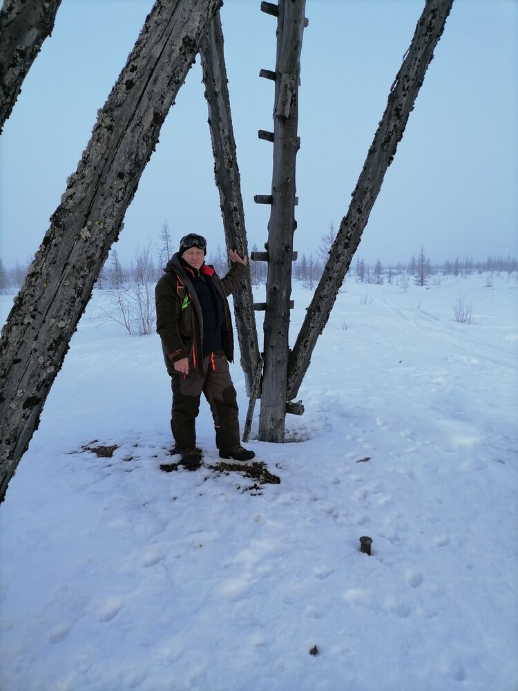  24717526  , 53 ,     