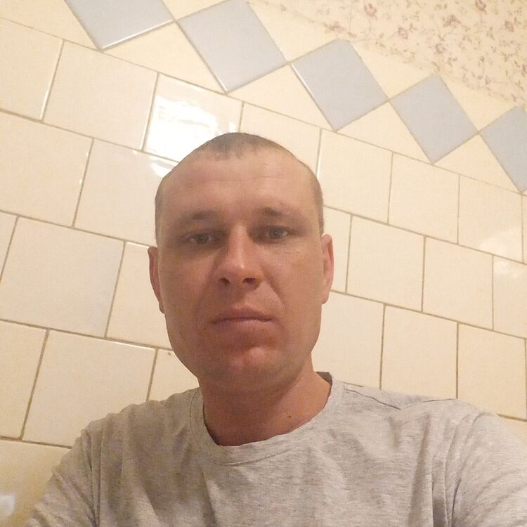 ���� 31210366 ������� ���������, 38 ���, ���� ���������� � ������ ���������