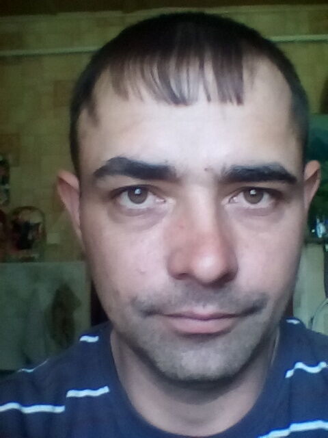  43561466  , 34 ,    