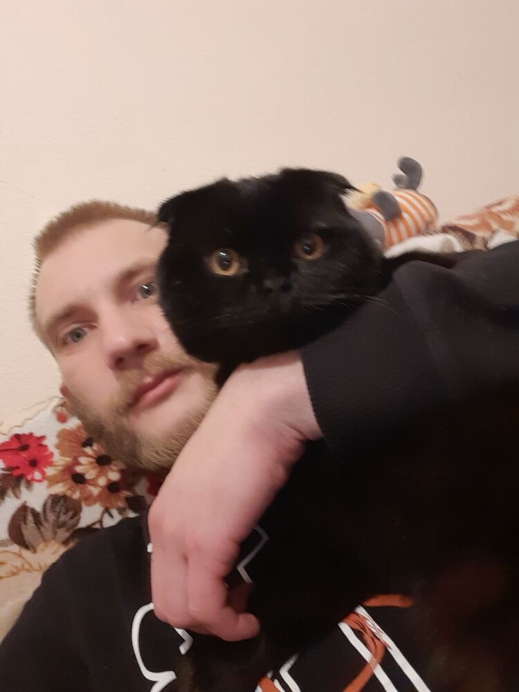 ���� 30799226 ������� ������, 33 ����, ���� ���������� � ���������