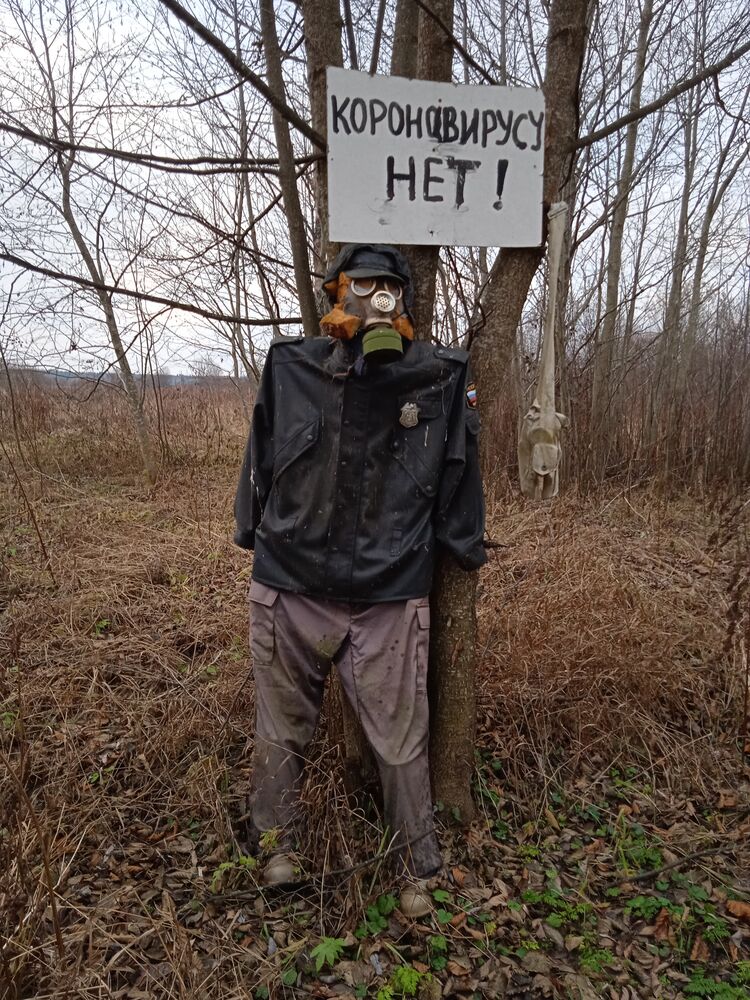 ���� 25074296 ������� ����, 39 ���, ���� ���������� � �������