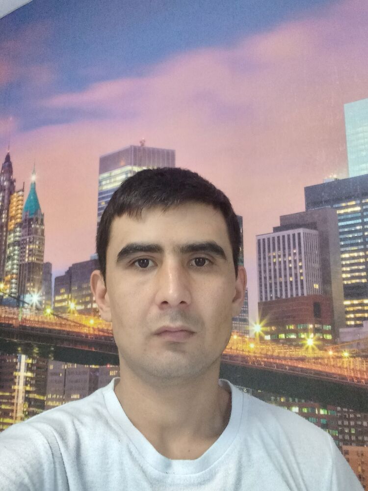  43848376  , 28 ,    