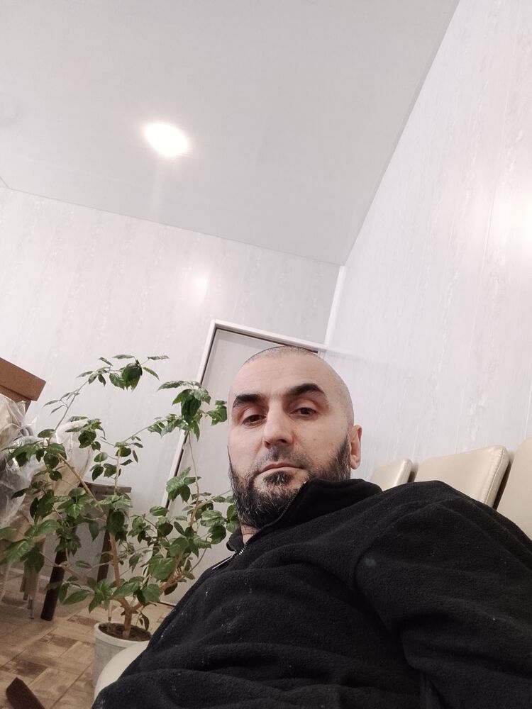 ���� 55153876 ������� Sultan, 40 ���, ���� ���������� � �������