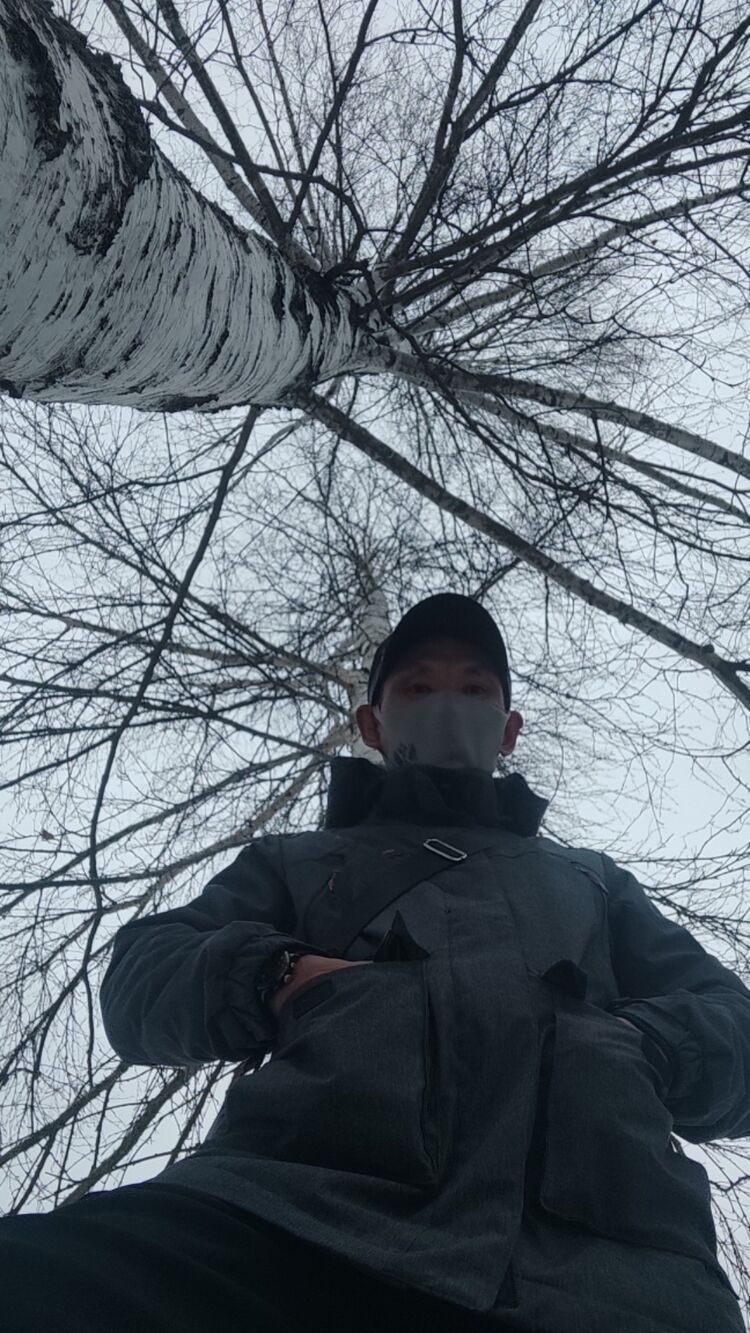  36267076  , 45 ,    