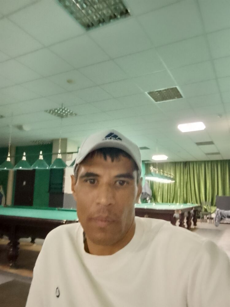  50238236  , 41 ,    --