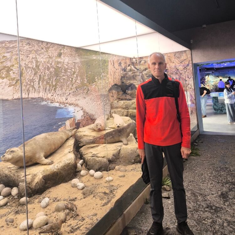 ���� 53647816 ������� ������, 64 ����, ���� ���������� � ������