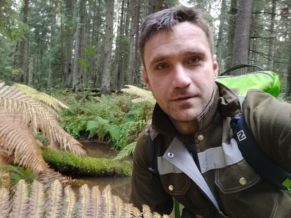 ���������� �����-���������, ���� ������� �����, 38 ���, ������������ ��� ������, ����� � ���������