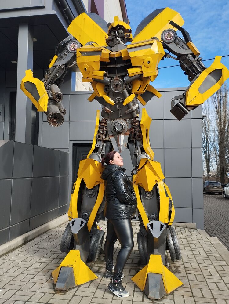  41446556  , 41 ,    