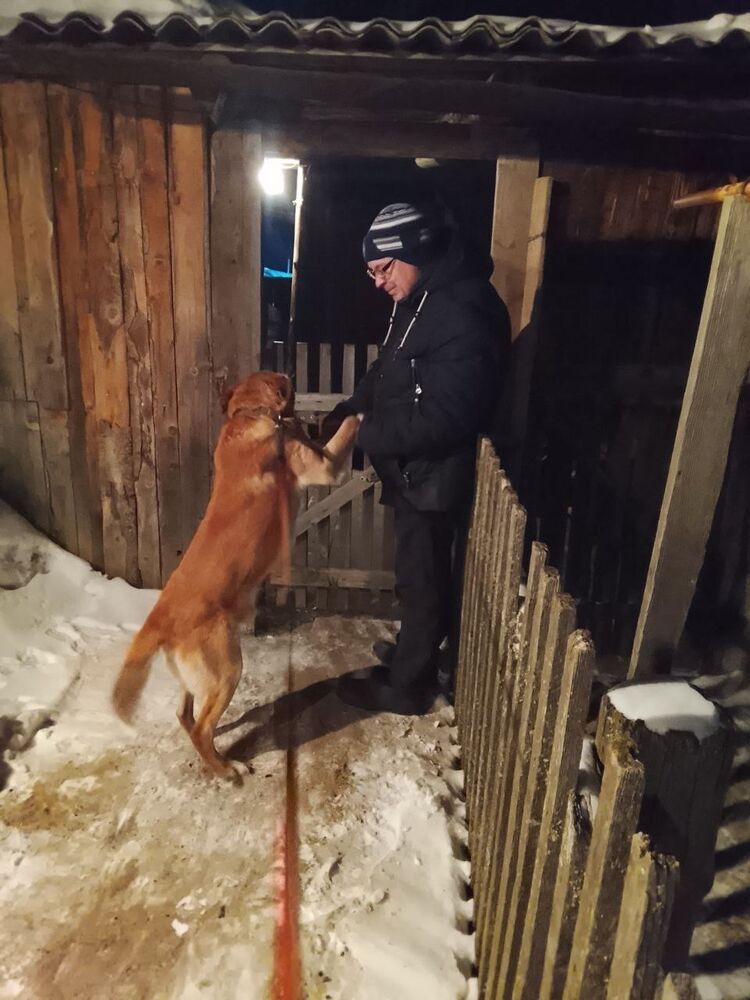 ���������� �����, ���� ������� ������, 42 ����, ������������ ��� ������, ����� � ���������, c�������� ���������, ���������