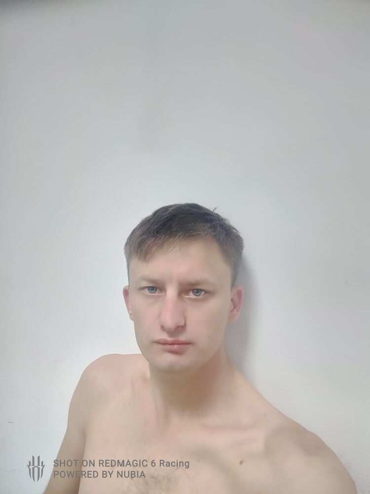  53848116  , 31 ,    