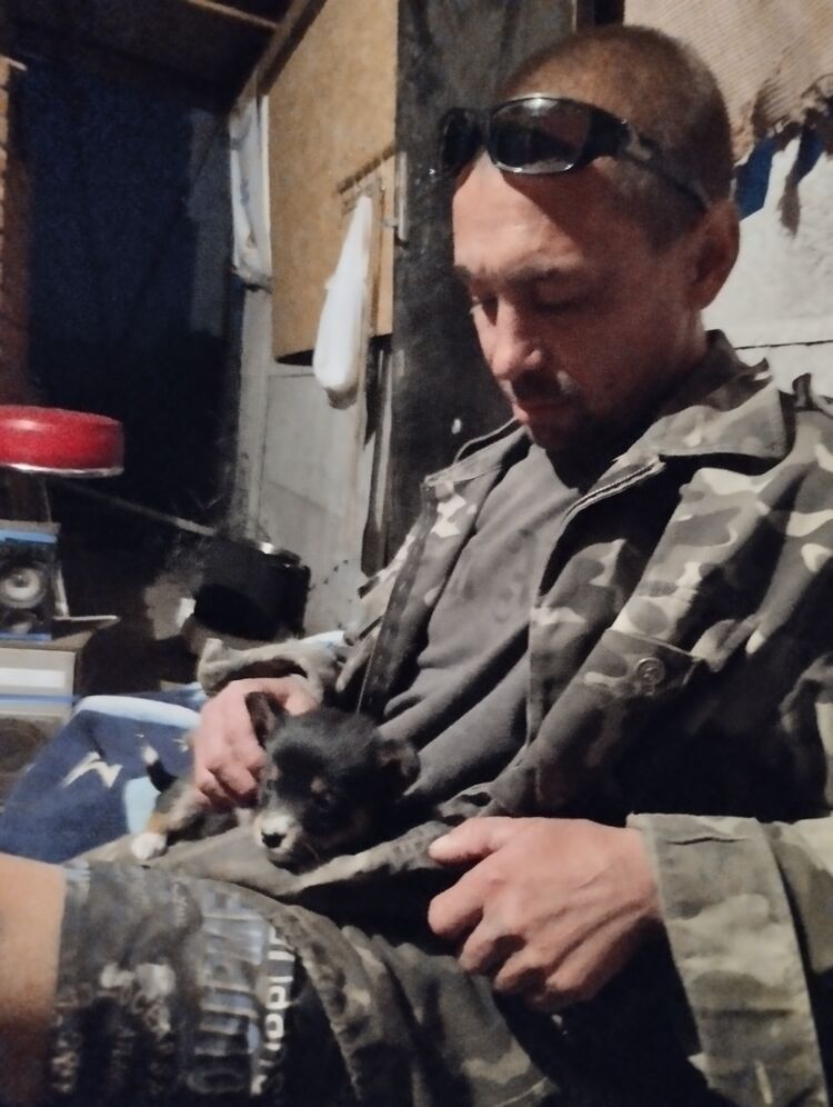 ���� 28801716 ������� ������, 40 ���, ���� ���������� � �����