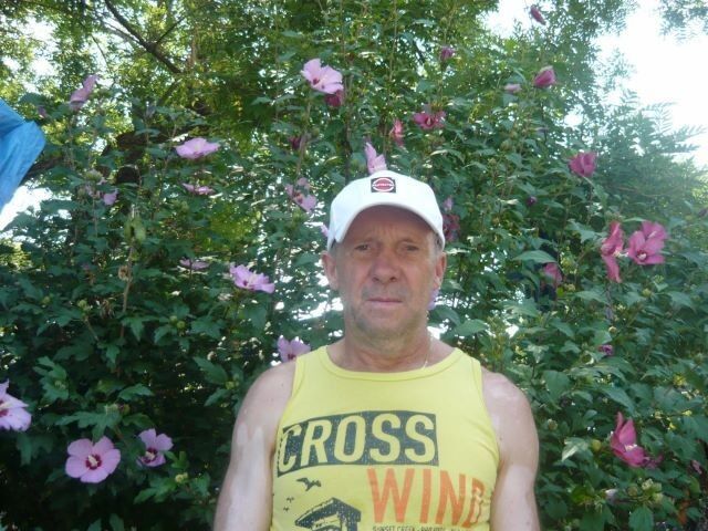  ,   , 65 ,   