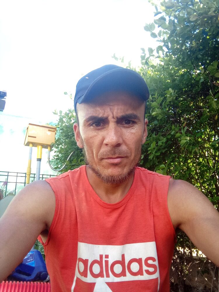 ���� 23387666 ������� �����, 37 ���, ���� ���������� � �����-����������