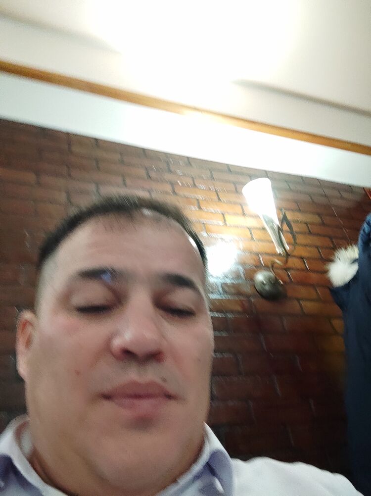 ���� 31309456 ������� �����, 44 ����, ���� ���������� � �����-����������