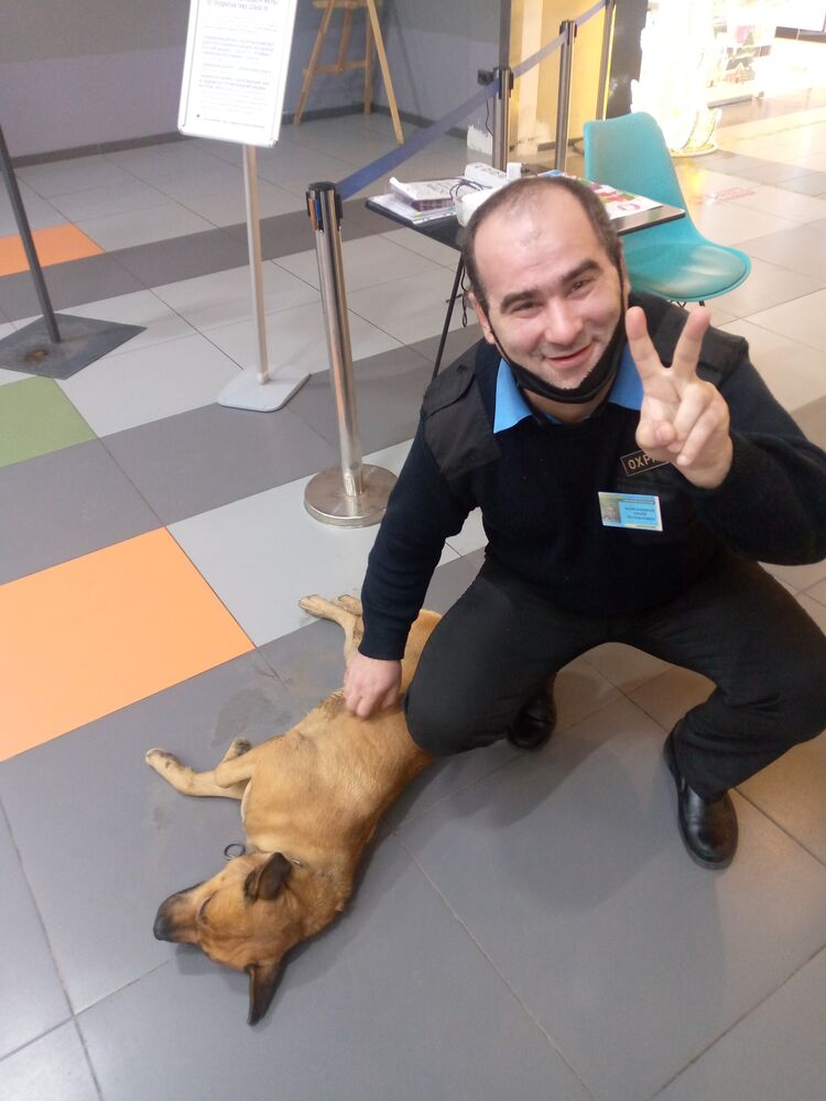 ���� 24959856 ������� ����, 41 ���, ���� ���������� � �������-��-����