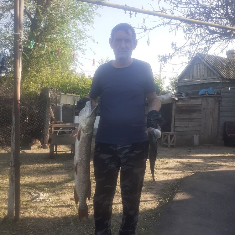  ,   , 59 ,     , c 