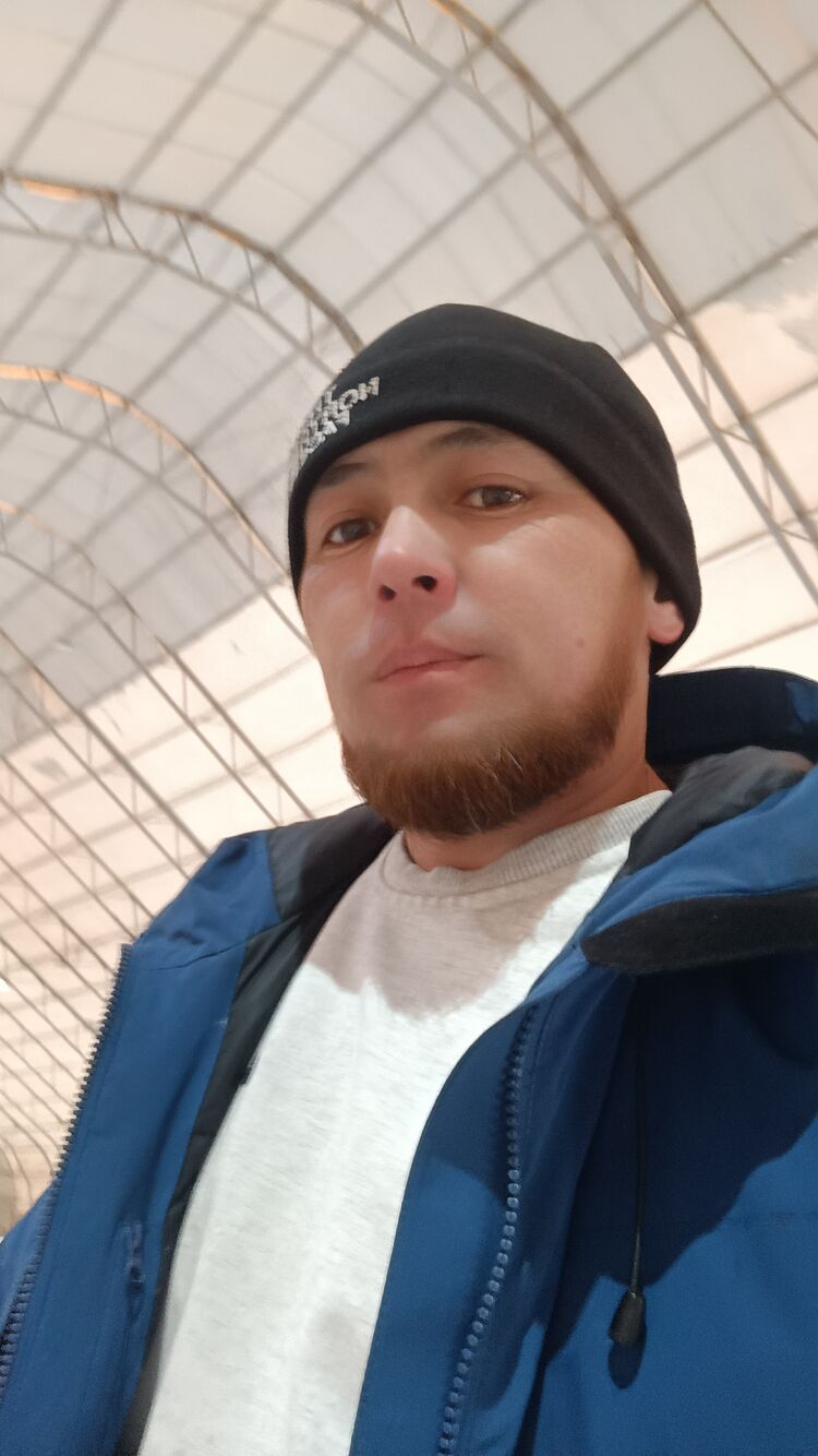 ���� 56126856 ������� �������, 41 ���, ���� ���������� � ������