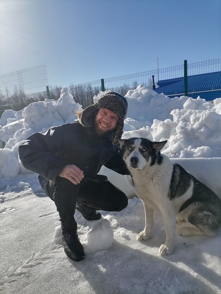  33766326  Vladimir, 35 ,    