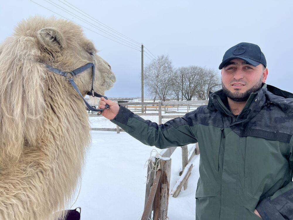 ���� 34108086 ������� ����, 29 ���, ���� ���������� � ������