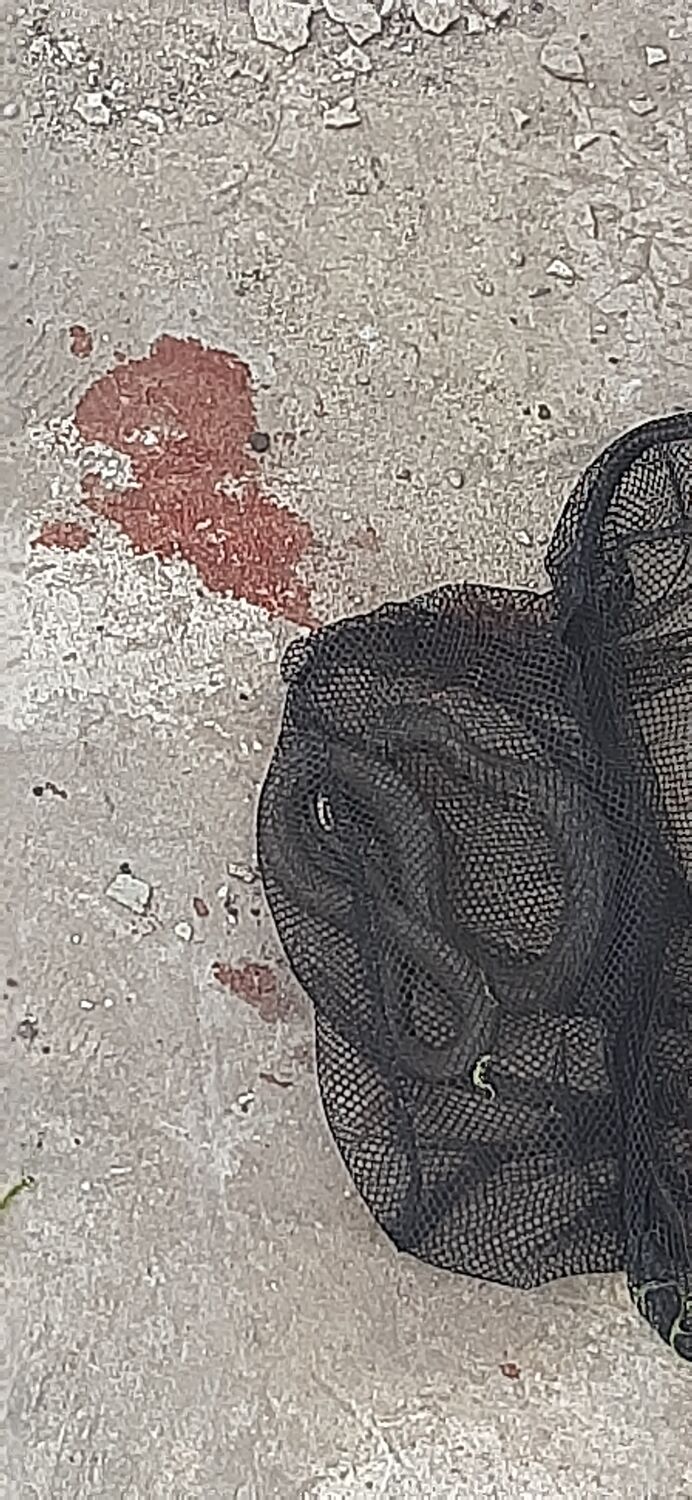 ���������� ������, ���� ������� �����, 26 ���, ������������ ��� ������, ����� � ���������