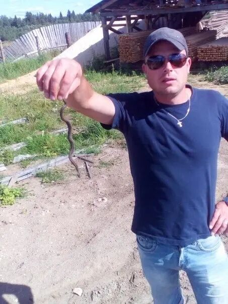  45226416  , 39 ,    -