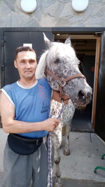 ���������� ���������, ���� ������� ����, 50 ���, ������������ ��� ������, ����� � ���������, c�������� ���������, ���������