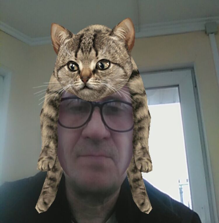  ,   , 55 ,   ,   , 