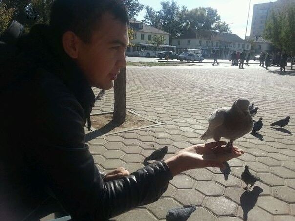 ���� 4758286 ������� Evil, 31 ���, ���� ���������� � ������