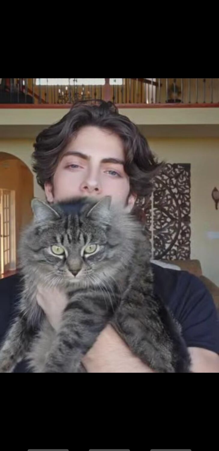  Palais-Bourbon,   Shoaib, 22 ,   ,   