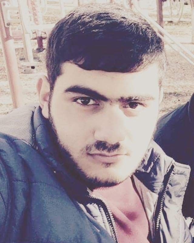 ���� 13607666 ������� Avo, 33 ����, ���� ���������� � �������