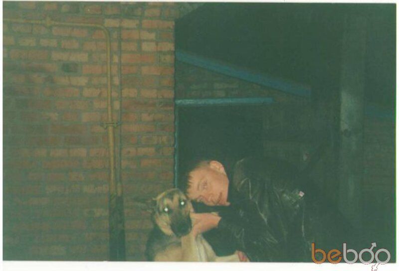  ,   Toman, 36 ,   