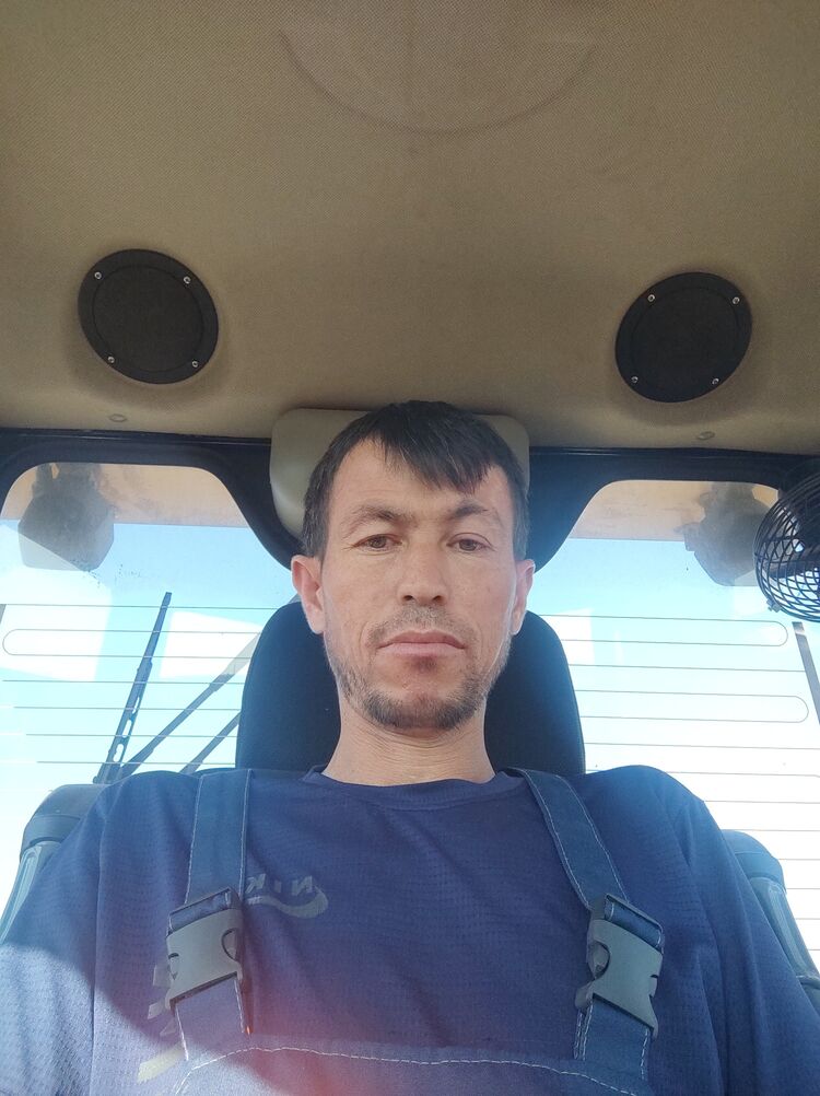  29565116  , 37 ,    