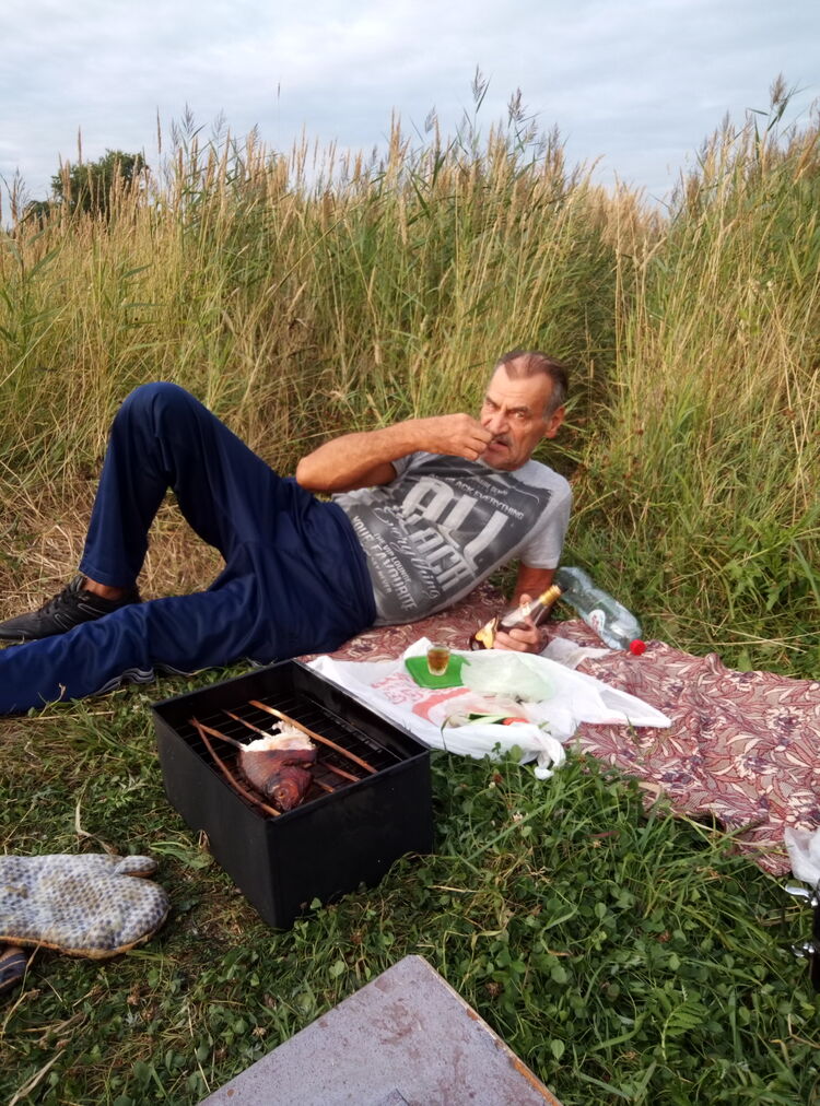  24167226  , 67 ,    -