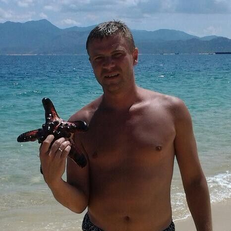  8180566  , 43 ,    -