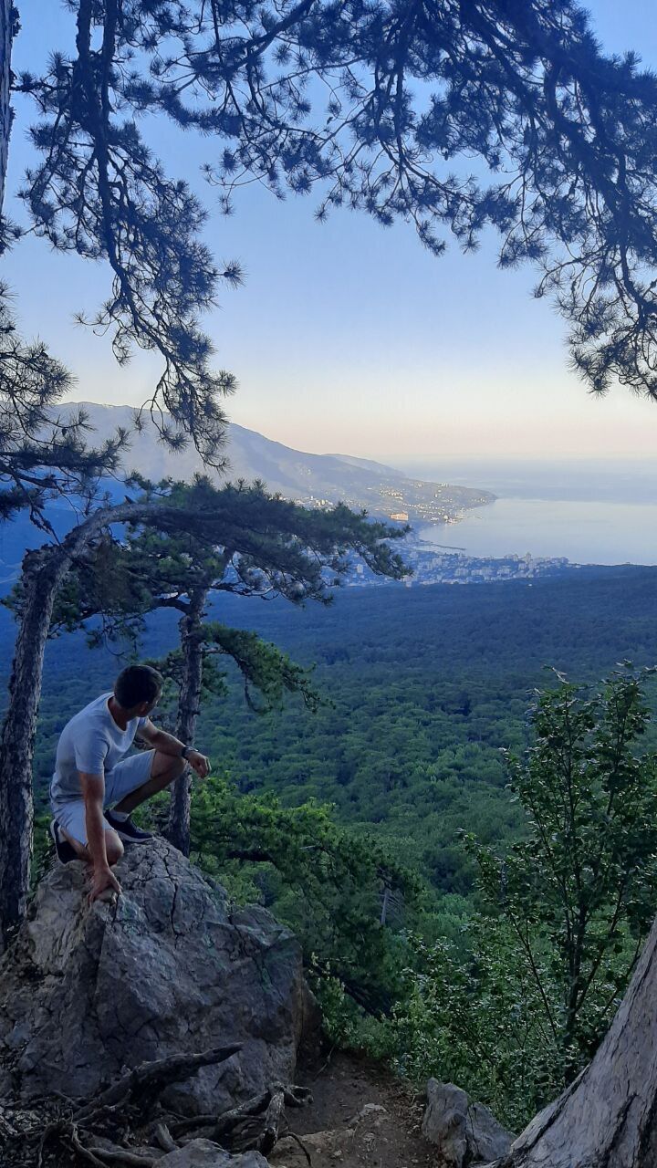 ���������� �����������, ���� ������� ����, 40 ���, ������������ ��� c�������� ���������