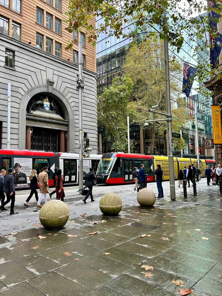 ���� 55567506 ������� ������, 35 ���, ���� ���������� � ������