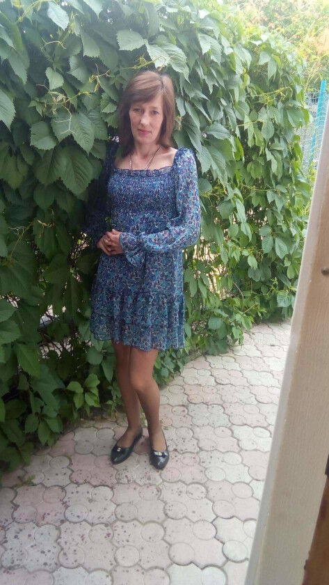 ���� 17231776 ������� ��������, 44 ����, ���� ���������� � ��������