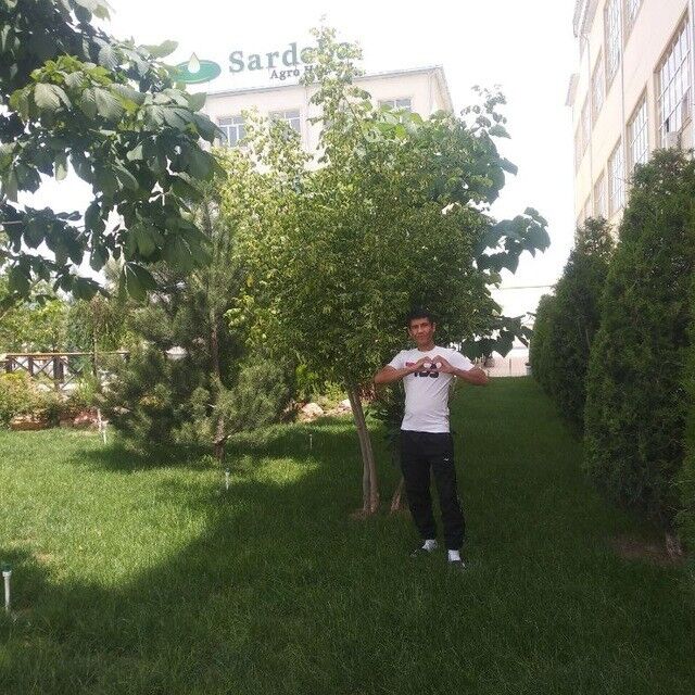  17352806  Bohodir, 39 ,    