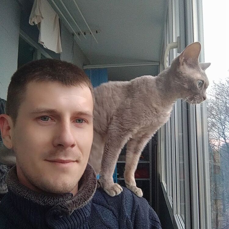 ,   , 36 ,   