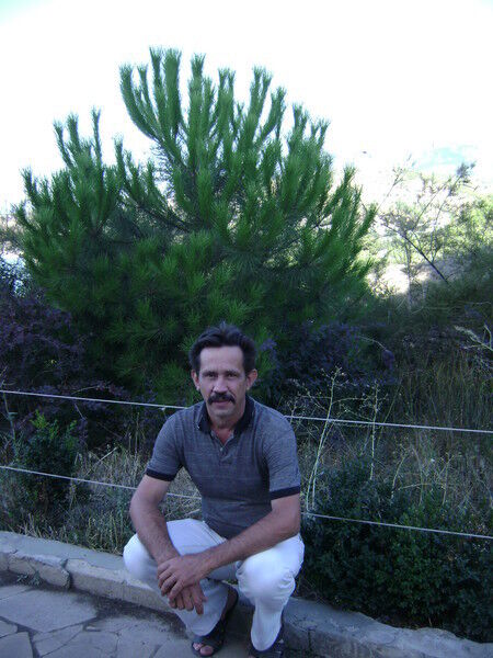  ,   , 53 ,   ,   , c 