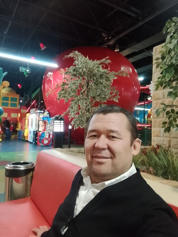  51403166  , 44 ,    -