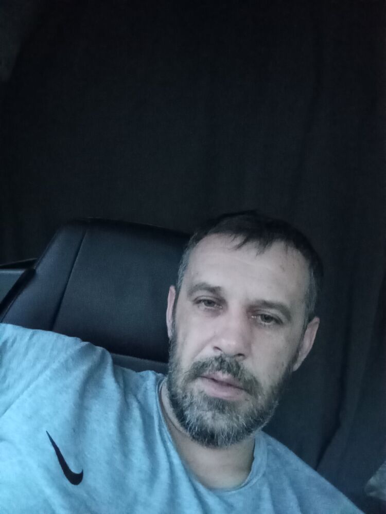 ���� 54461466 ������� Wolf, 80 ���, ���� ���������� � ������